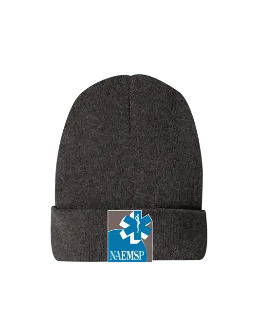 Recycled Charcoal Heather Beanie w/NAEMSP Logo