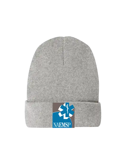 Recycled Light Heather Grey Beanie w/NAEMSP Logo