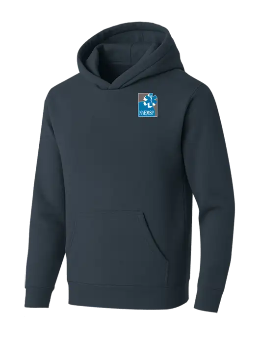 BELLA+CANVAS Dark Grey Sponge Fleece Pullover Hoodie w/NAEMSP Logo
